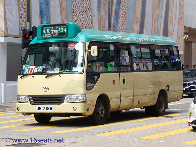 Kowloon GMB Route 77M